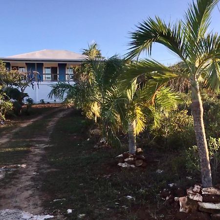 הוילה House Of Blue At Turtle Cove Long Island Bahamas מראה חיצוני תמונה