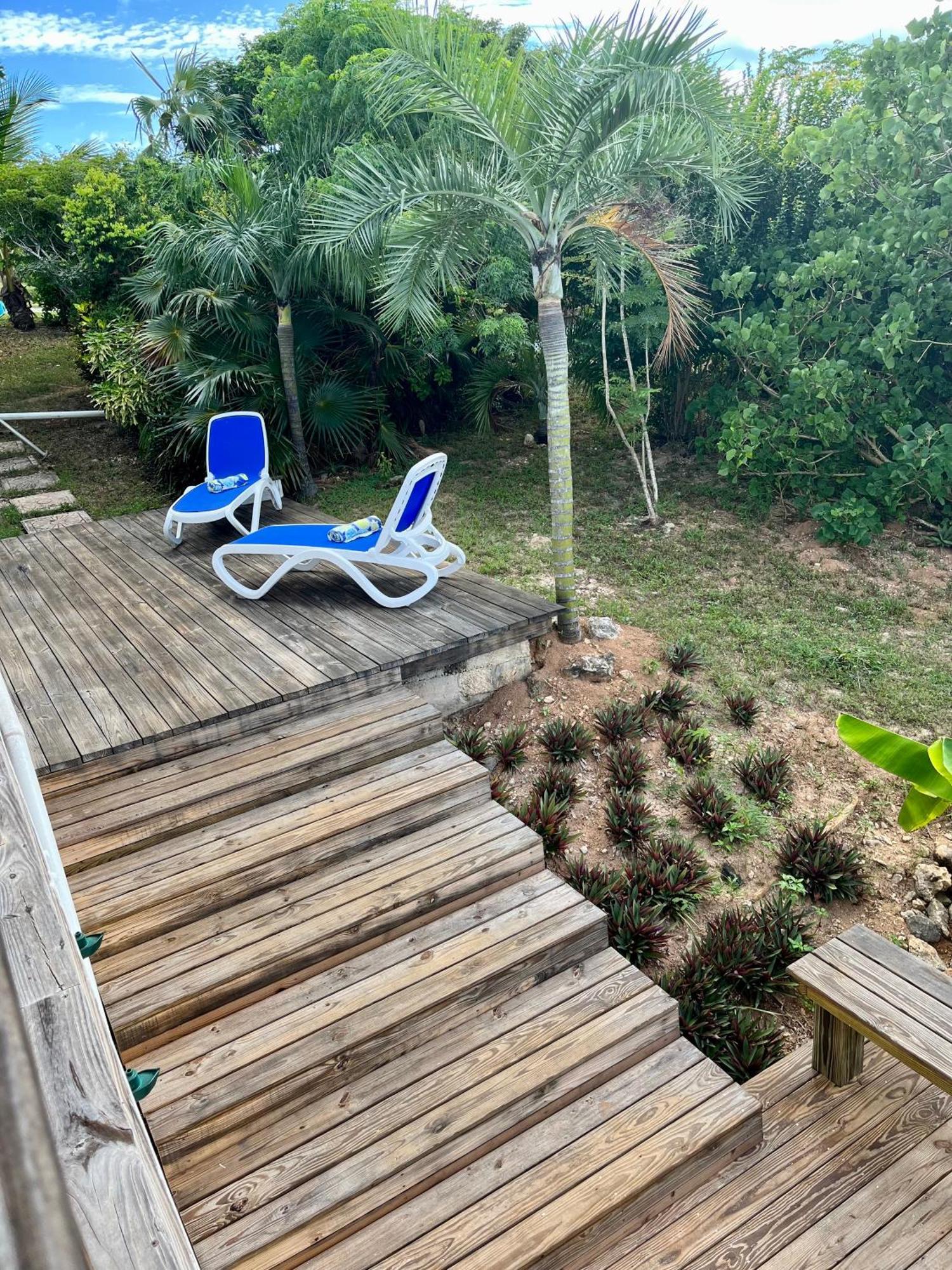 הוילה House Of Blue At Turtle Cove Long Island Bahamas מראה חיצוני תמונה